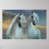 Arabische broeders poster (Voorkant)