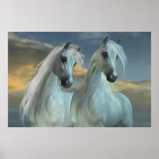 Arabische broeders poster (Voorkant)