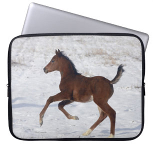 Arabische Foal in de sneeuw Laptop Sleeve