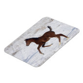 Arabische Foal in de sneeuw Magneet (Linkerzijde)