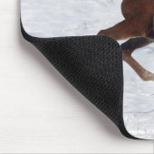 Arabische Foal in de sneeuw Muismat (Hoek)