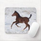 Arabische Foal in de sneeuw Muismat (Met muis)