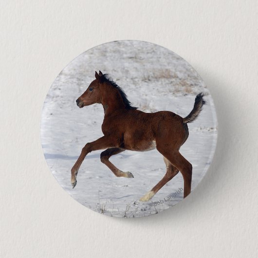 Arabische Foal in de sneeuw Ronde Button 5,7 Cm (Voorkant)
