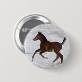 Arabische Foal in de sneeuw Ronde Button 5,7 Cm (Voorkant /achterkant)