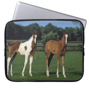 Arabische Foalen in grijs veld Laptop Sleeve