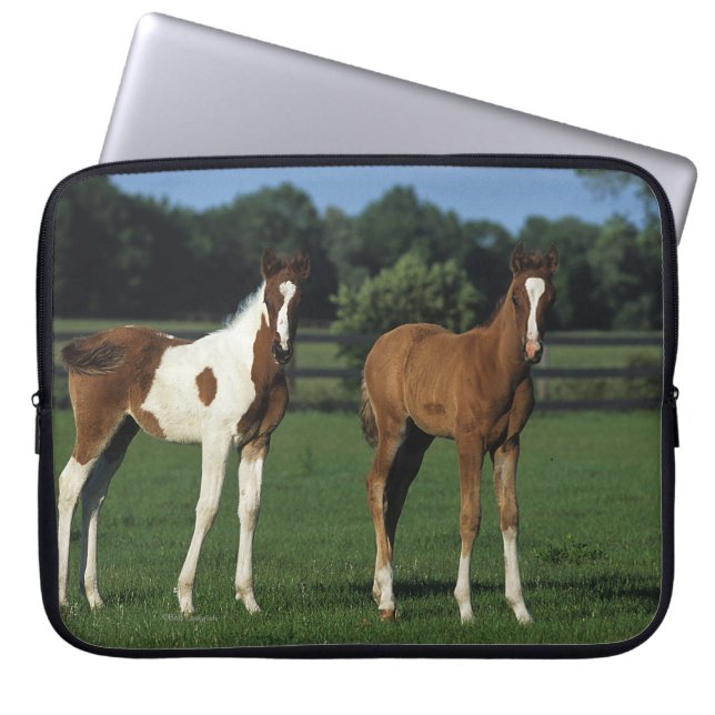 Arabische Foalen in grijs veld Laptop Sleeve (Voorkant)