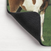 Arabische Foalen in grijs veld Muismat (Hoek)