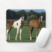 Arabische Foalen in grijs veld Muismat (Met muis)