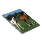 Arabische Foalen in grijs veld Notitieboek (Rechterzijde)