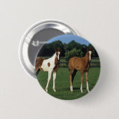 Arabische Foalen in grijs veld Ronde Button 5,7 Cm (Voorkant /achterkant)