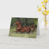 Arabische Hengst die in het Gras lopen Kaart (Gele Bloem)