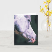 Arabische hoofd 'Mooie jongen' Kaart (Gele Bloem)