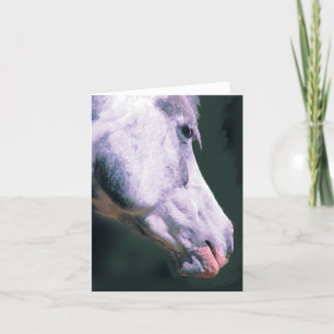 Arabische hoofd 'Mooie jongen' Kaart