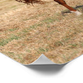 Arabische kastanjebruin, stromend mane en staart poster (Hoek)