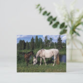 Arabische Mare & Foal 2 Briefkaart (Staand voorkant)