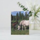 Arabische Mare & Foal 2 Briefkaart (Staand voorkant)