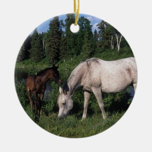 Arabische Mare & Foal 2 Keramisch Ornament