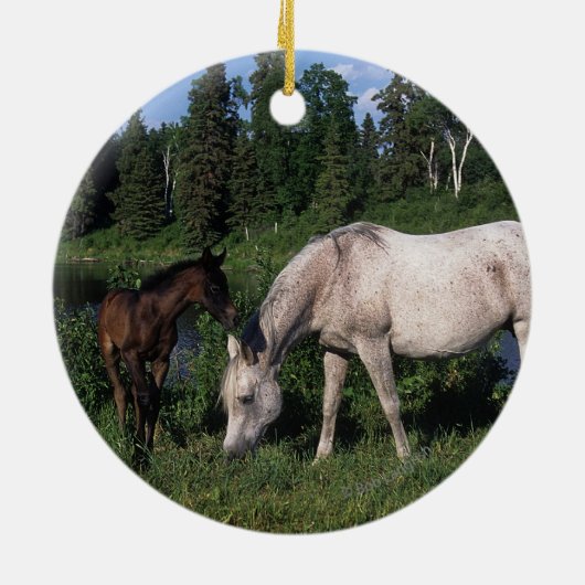 Arabische Mare & Foal 2 Keramisch Ornament (Achterkant)