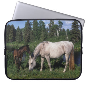 Arabische Mare & Foal 2 Laptop Sleeve