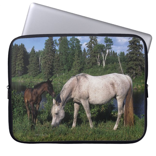 Arabische Mare & Foal 2 Laptop Sleeve (Voorkant)