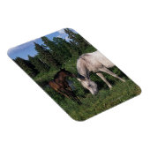 Arabische Mare & Foal 2 Magneet (Rechterzijde)