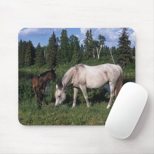 Arabische Mare & Foal 2 Muismat (Met muis)