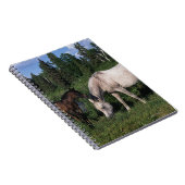 Arabische Mare & Foal 2 Notitieboek (Rechterzijde)
