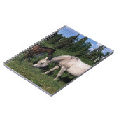 Arabische Mare & Foal 2 Notitieboek (Linkerzijde)