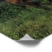 Arabische Mare & Foal 2 Poster (Hoek)