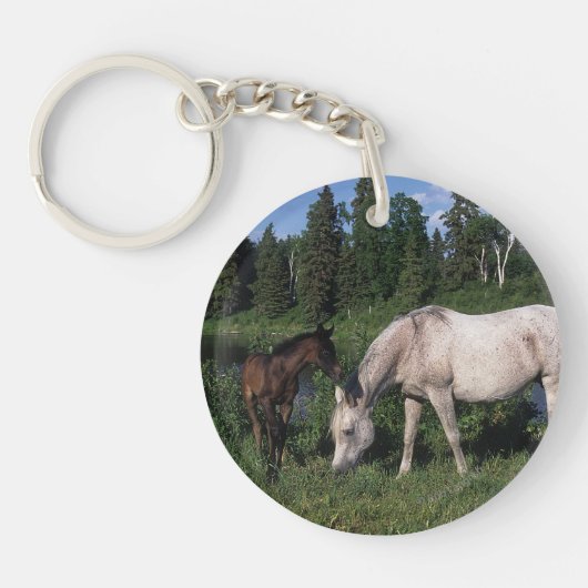 Arabische Mare & Foal 2 Sleutelhanger (Voorkant)
