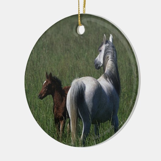 Arabische Mare & Foal Keramisch Ornament (Links)