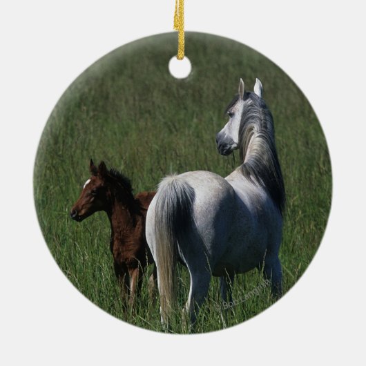 Arabische Mare & Foal Keramisch Ornament (Achterkant)