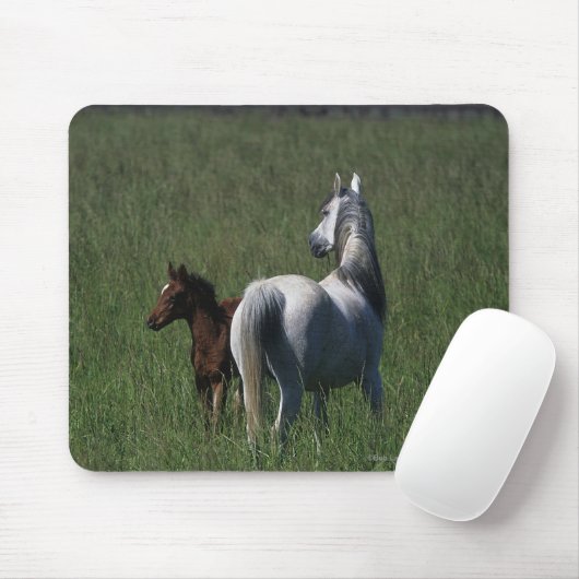 Arabische Mare & Foal Muismat (Met muis)