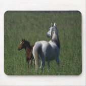 Arabische Mare & Foal Muismat (Voorkant)