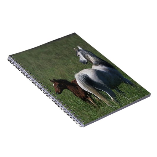 Arabische Mare & Foal Notitieboek (Rechterzijde)