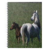 Arabische Mare & Foal Notitieboek (Voorkant)