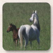 Arabische Mare & Foal Onderzetter (Voorkant)
