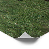 Arabische Mare & Foal Poster (Hoek)