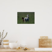 Arabische Mare & Foal Poster (Keuken)