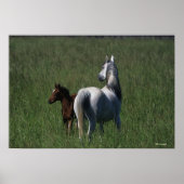 Arabische Mare & Foal Poster (Voorkant)