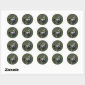 Arabische Mare & Foal Ronde Sticker (Vel)