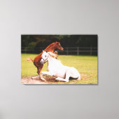 Arabische merrie veulen Stretched Canvas Print (Voorkant)