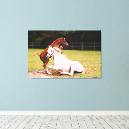 Arabische merrie veulen Stretched Canvas Print (Insitu (Houten vloer))