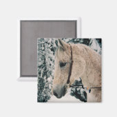 Arabische Mix Magnet (Voorkant / Achterkant)