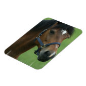 Arabische Paard Afbeeldingen Magnet Magneet (Linkerzijde)
