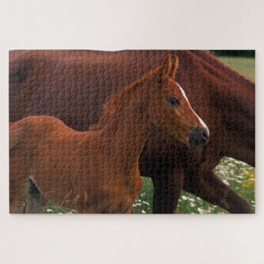 Arabische paard bij moeder legpuzzel (Horizontaal)