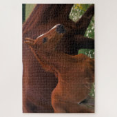 Arabische paard bij moeder legpuzzel (Verticaal)