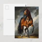 Arabische paard briefkaart (Voorkant / Achterkant)
