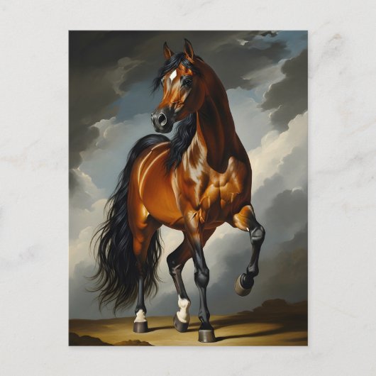 Arabische paard briefkaart (Voorkant)