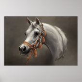 Arabische paard fijnkunst poster (Voorkant)